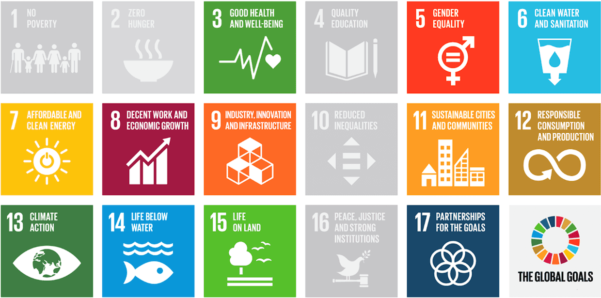 UN Sustainable Development Goals supported by Sustainability Units